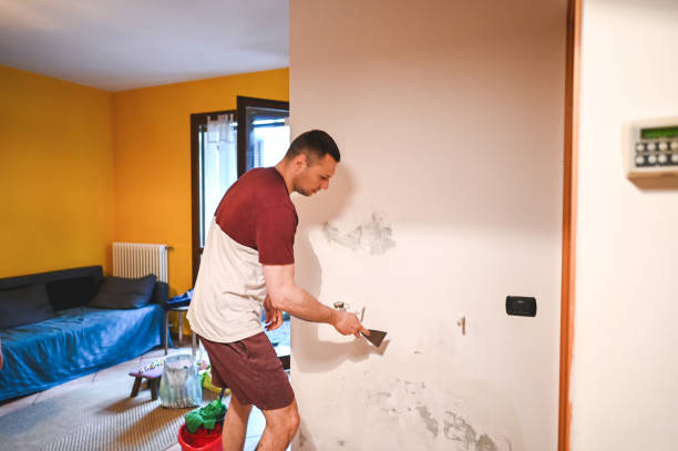Reliable Yadkinville, NC Mold Remediation Solutions